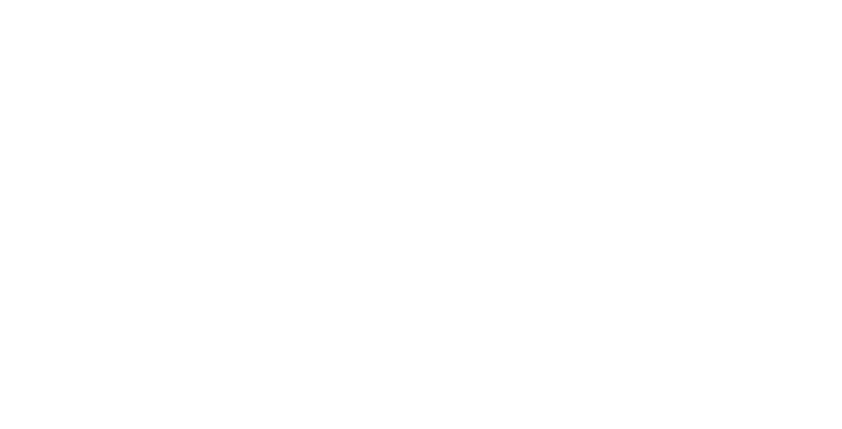 light logo